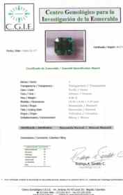 an example of our CGIE Certificate