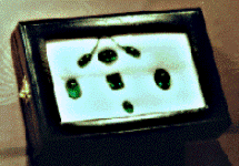 information on emerald investing